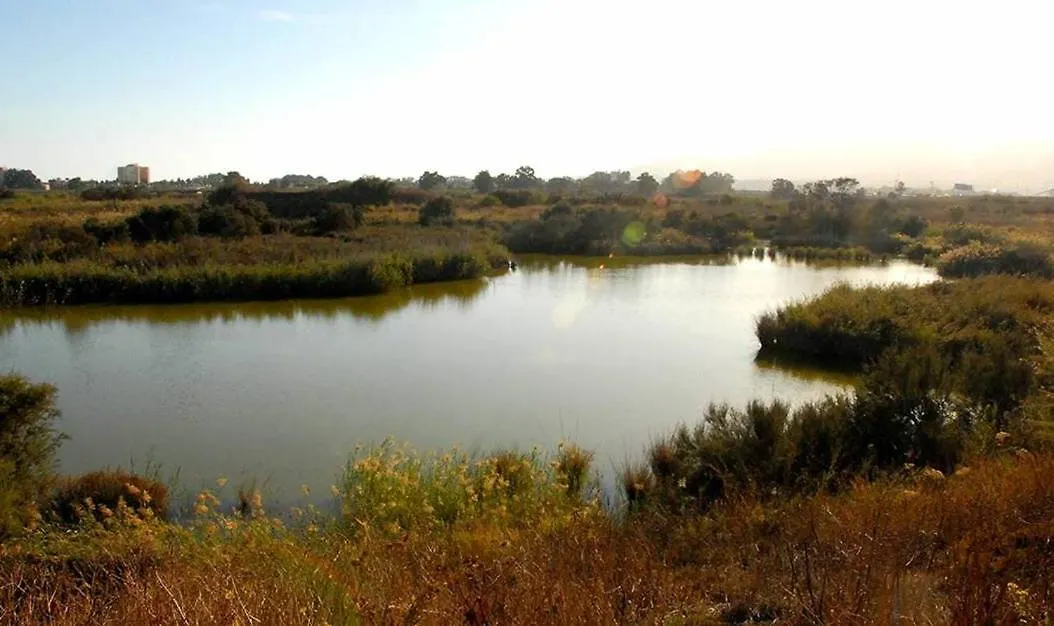 Apartman Guadalmarina - Playa, Naturaleza Y Ciudad Málaga